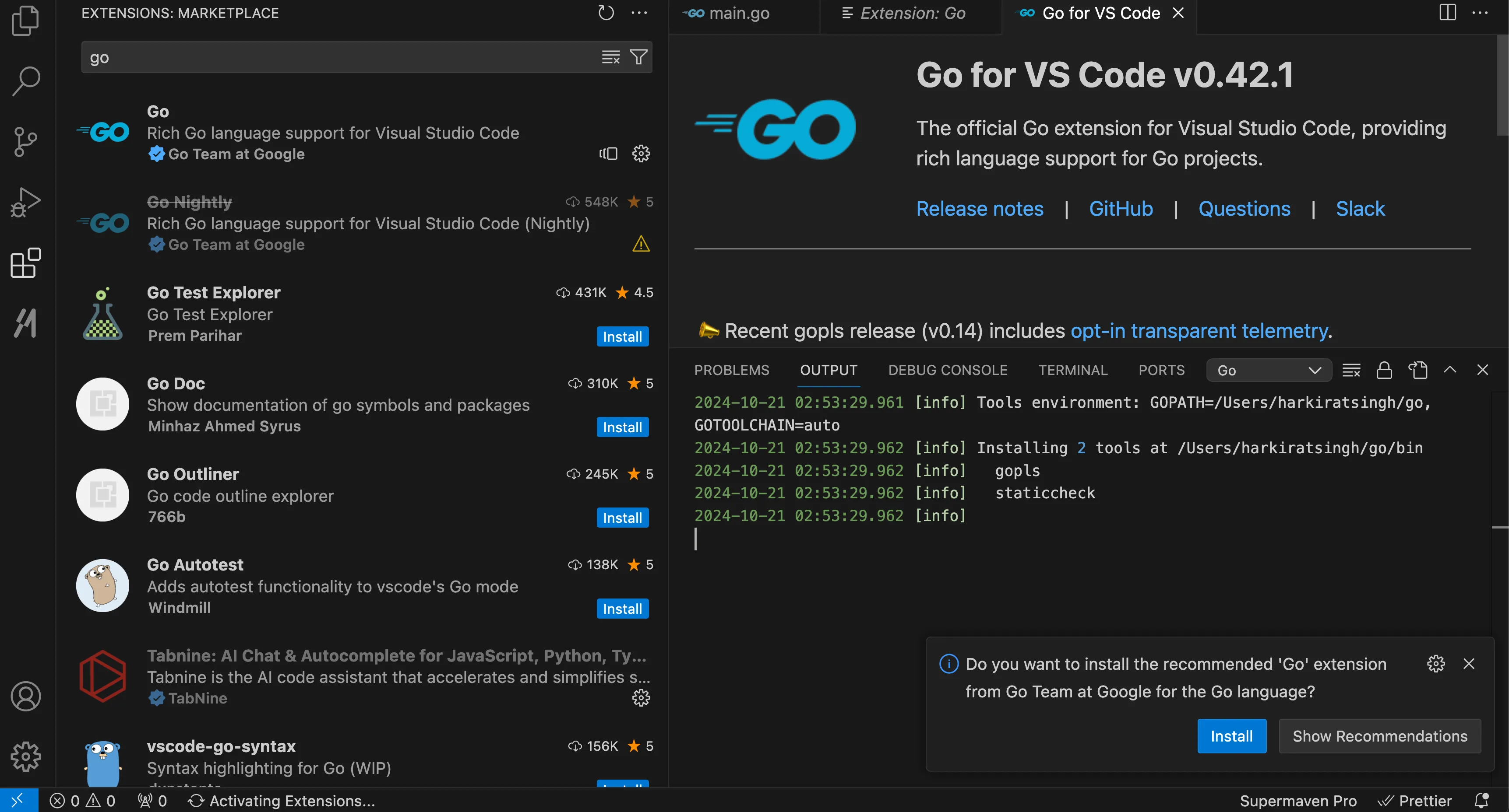 VSCode Go Extension